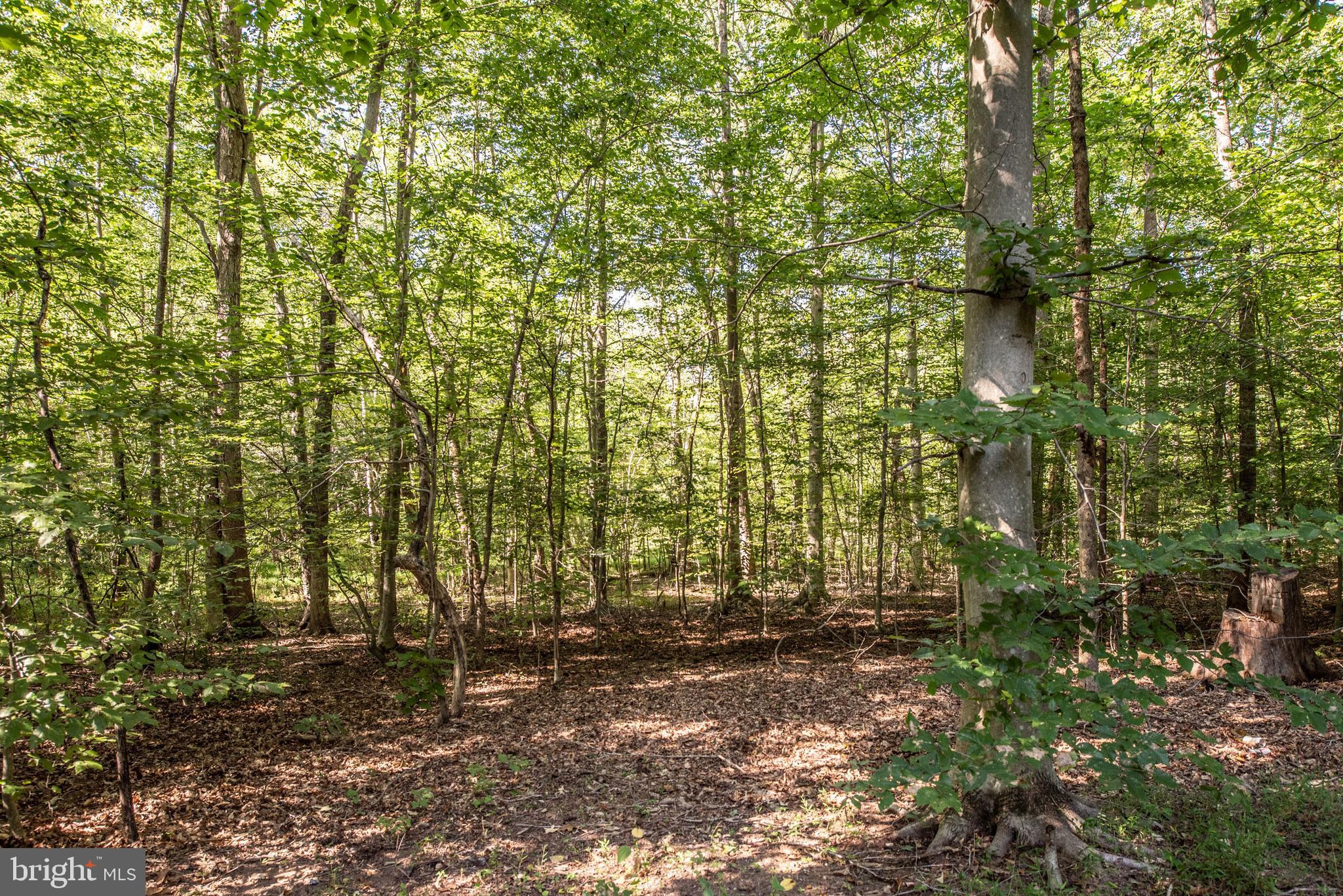 HOLLY BROOK/SPRINGVALE - Residential