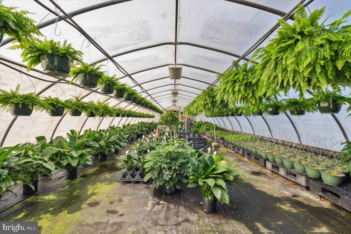 NONE AVAILABLE - Commercial Sale