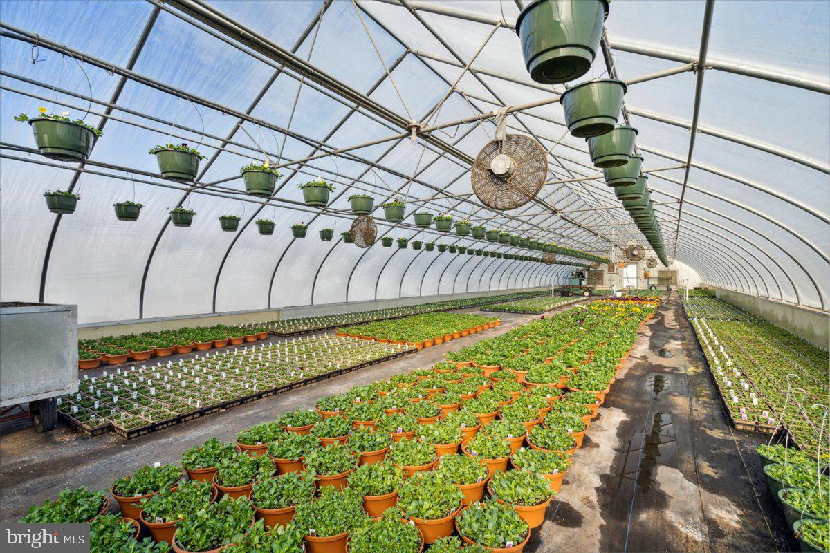 NONE AVAILABLE - Commercial Sale