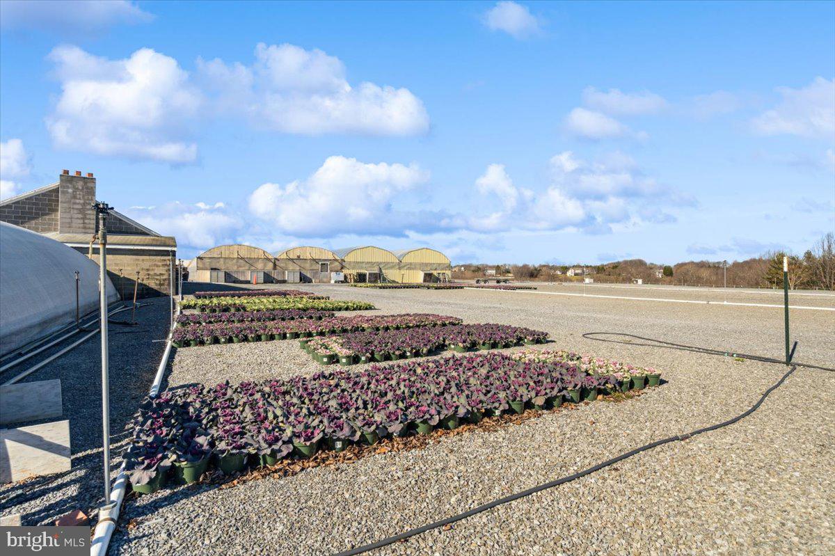 NONE AVAILABLE - Commercial Sale