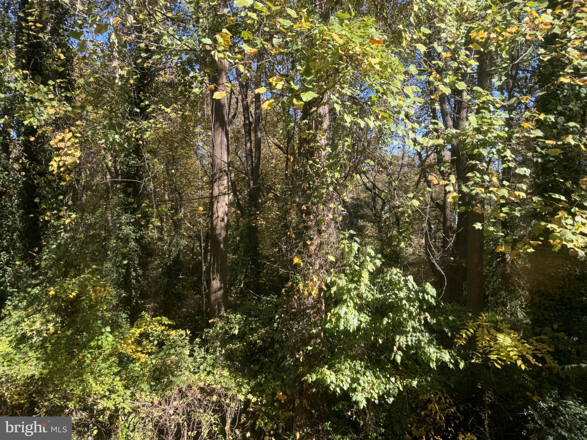 FAIRFAX COUNTY - Residential