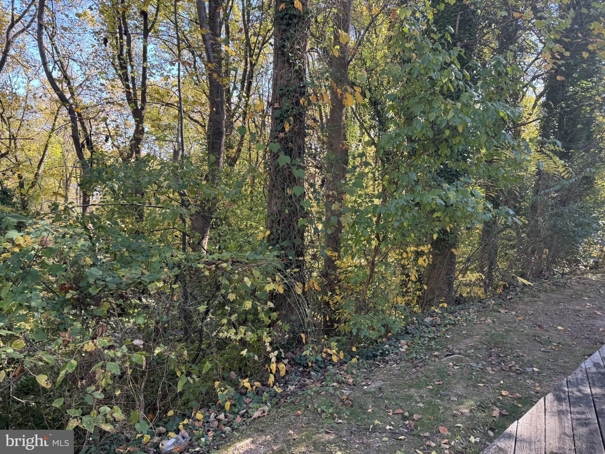 FAIRFAX COUNTY - Residential