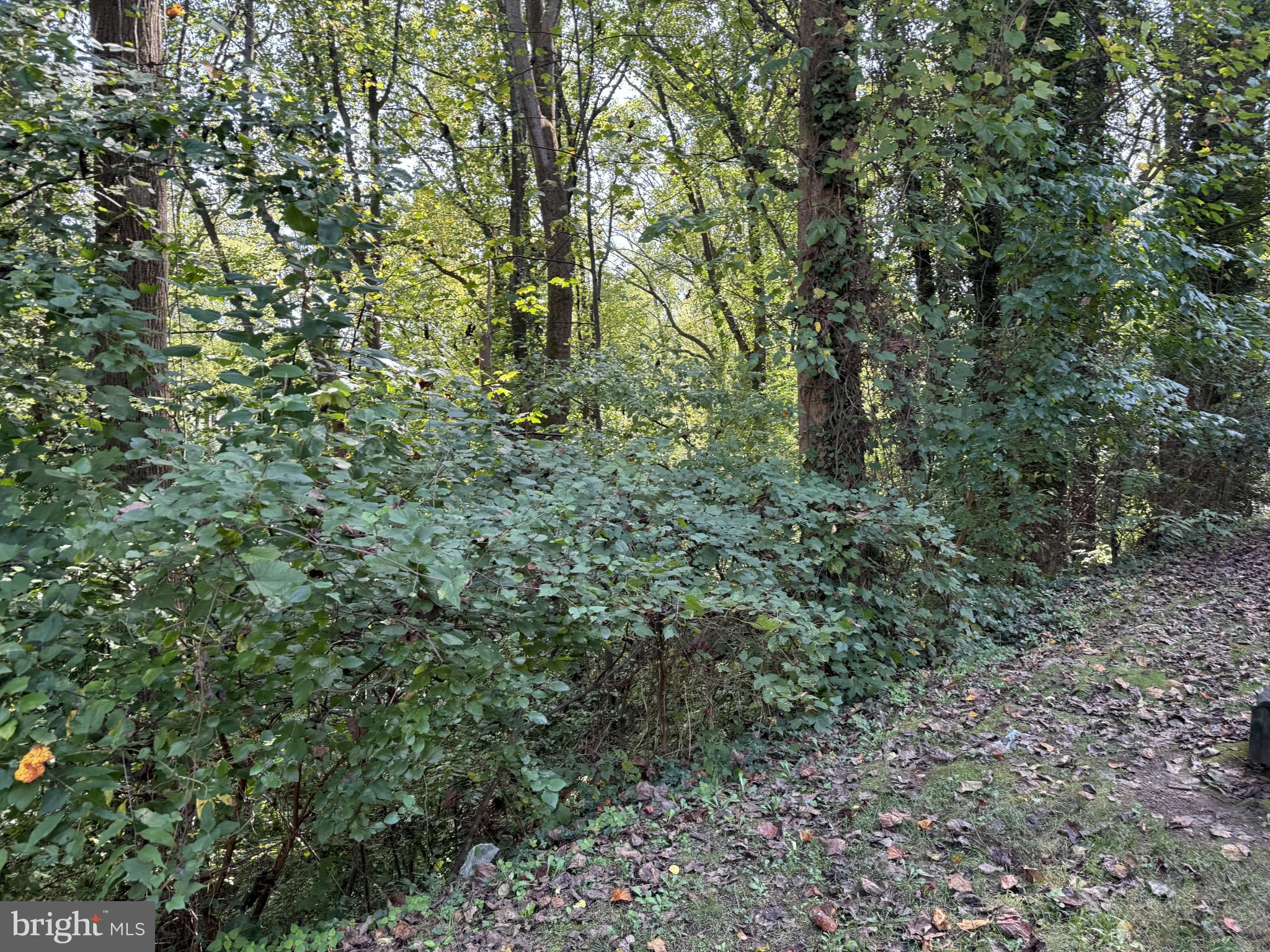 FAIRFAX COUNTY - Residential