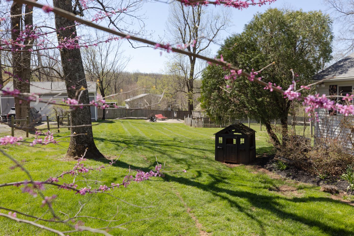 SKYLINE ORCHARDS - Residential