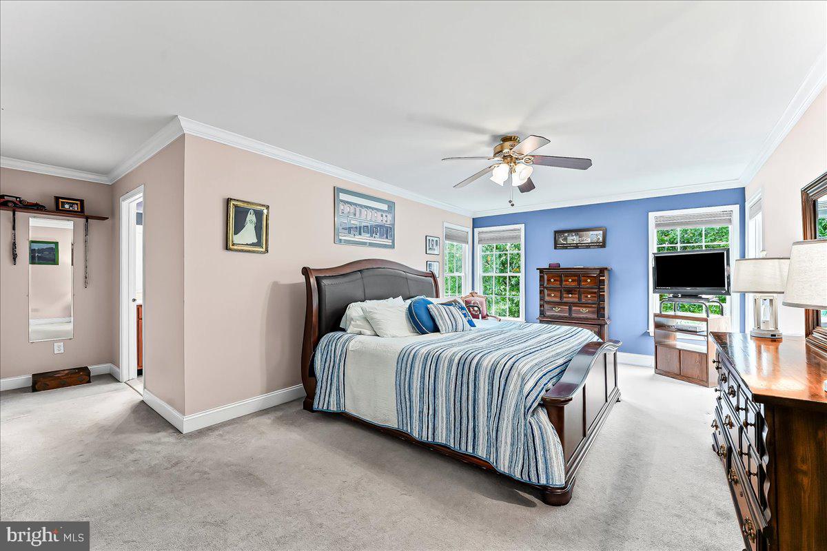 CHARLESTOWN MEADOWS - Residential