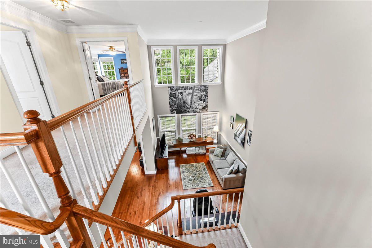 CHARLESTOWN MEADOWS - Residential