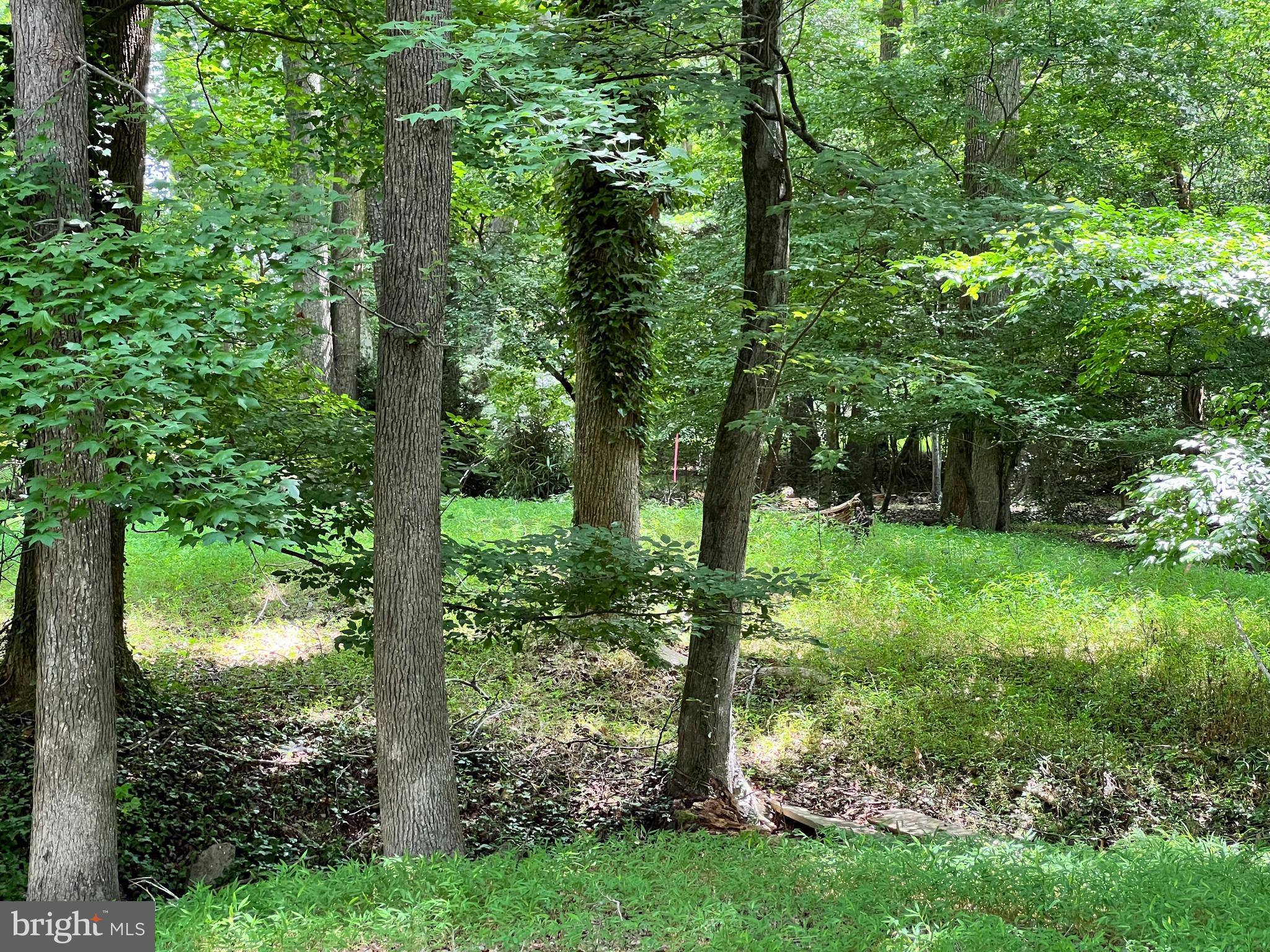 DEER HARBOUR - Residential