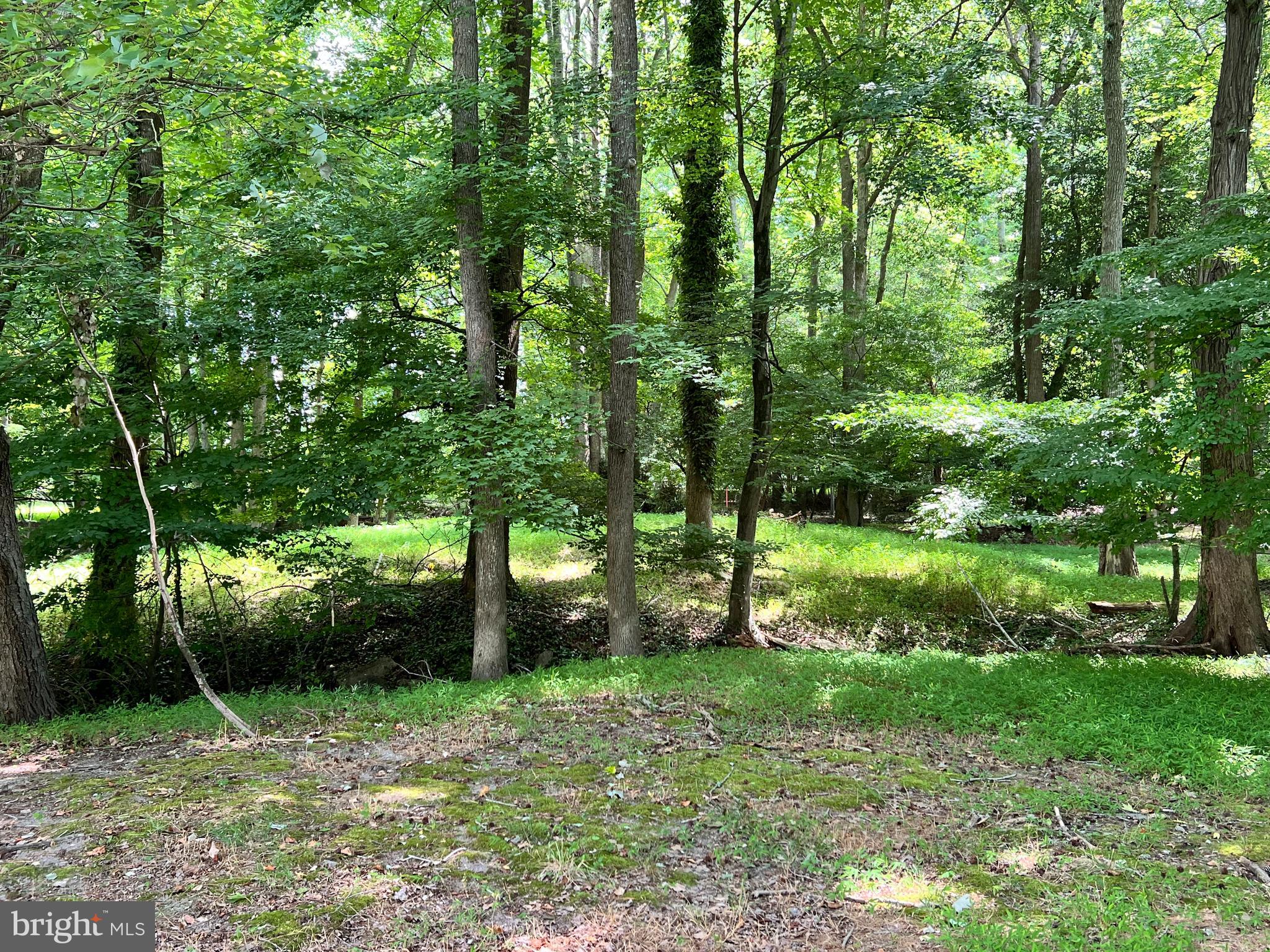 DEER HARBOUR - Residential