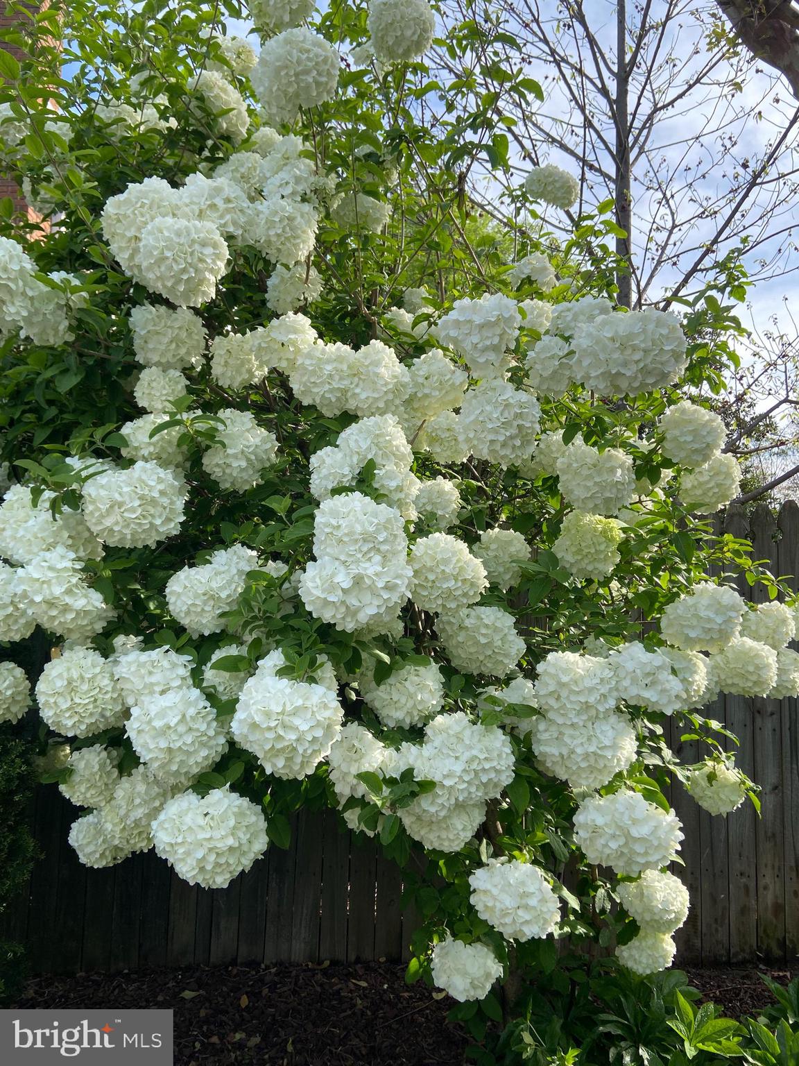 LAKEWOOD HILLS - Residential