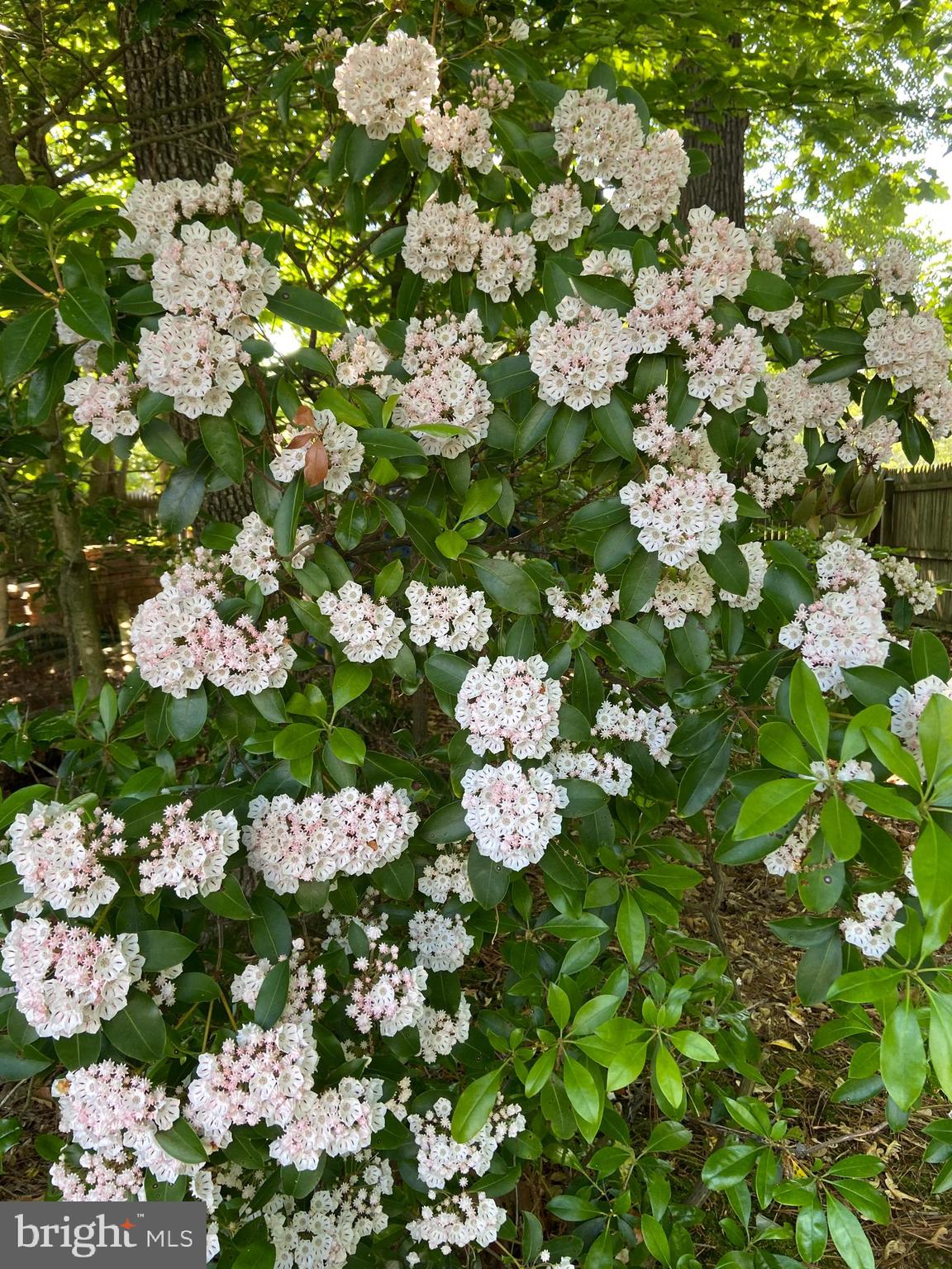 LAKEWOOD HILLS - Residential