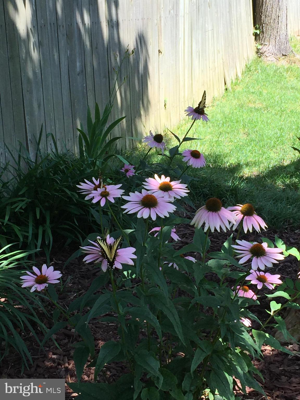 LAKEWOOD HILLS - Residential