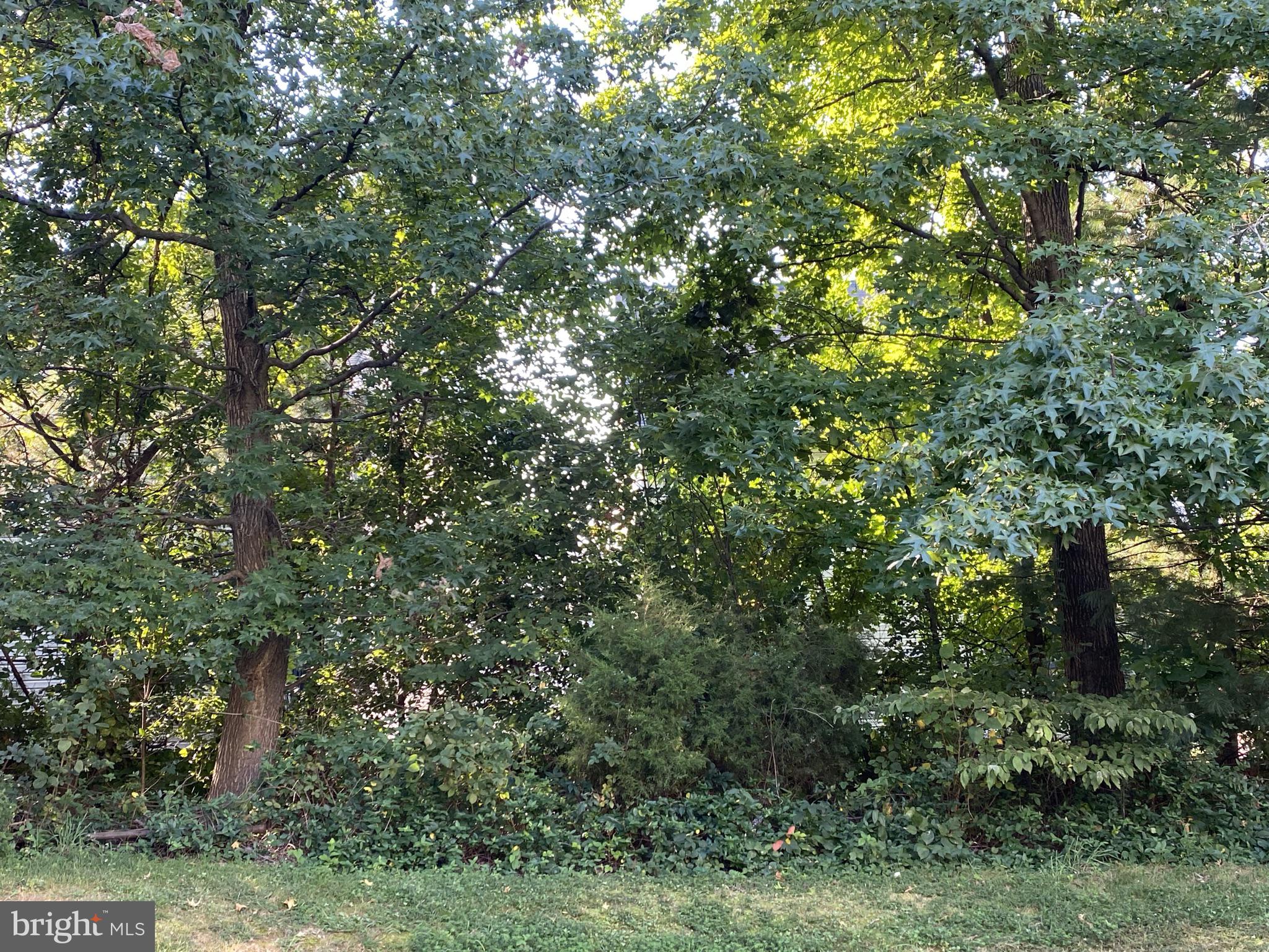 GUNSTON HILL - Residential