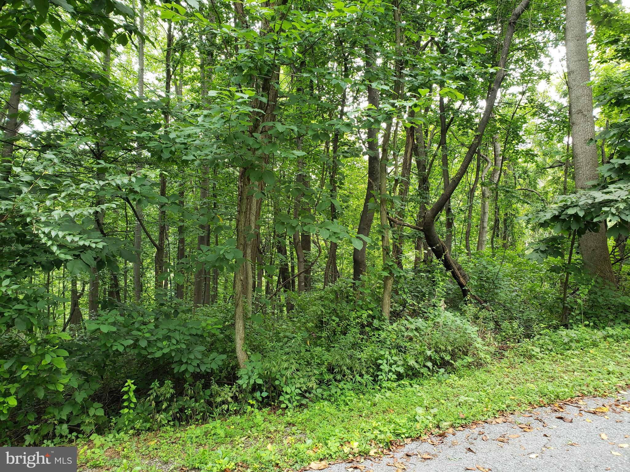 POINT O'WOODS - Land