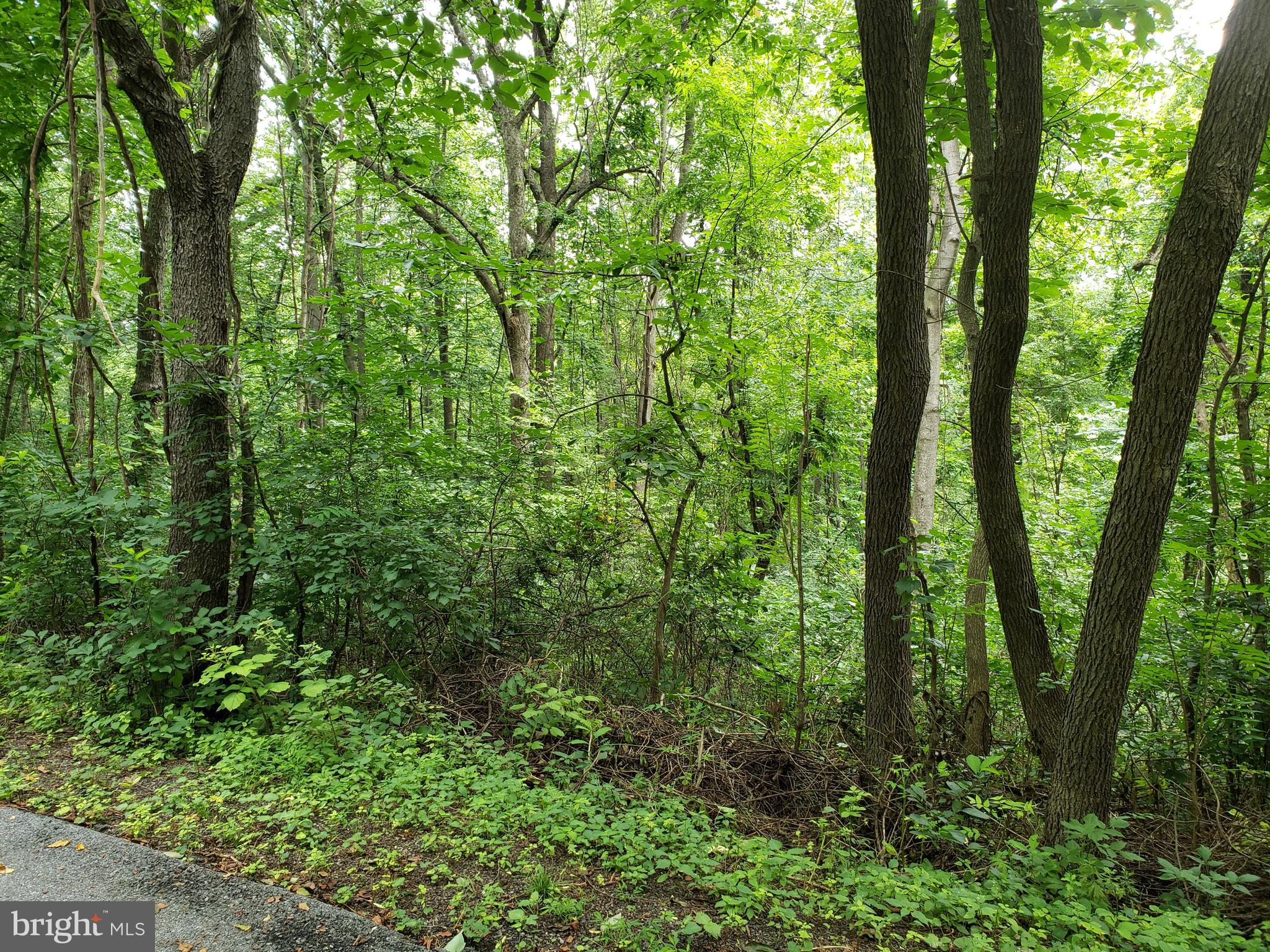 POINT O'WOODS - Land