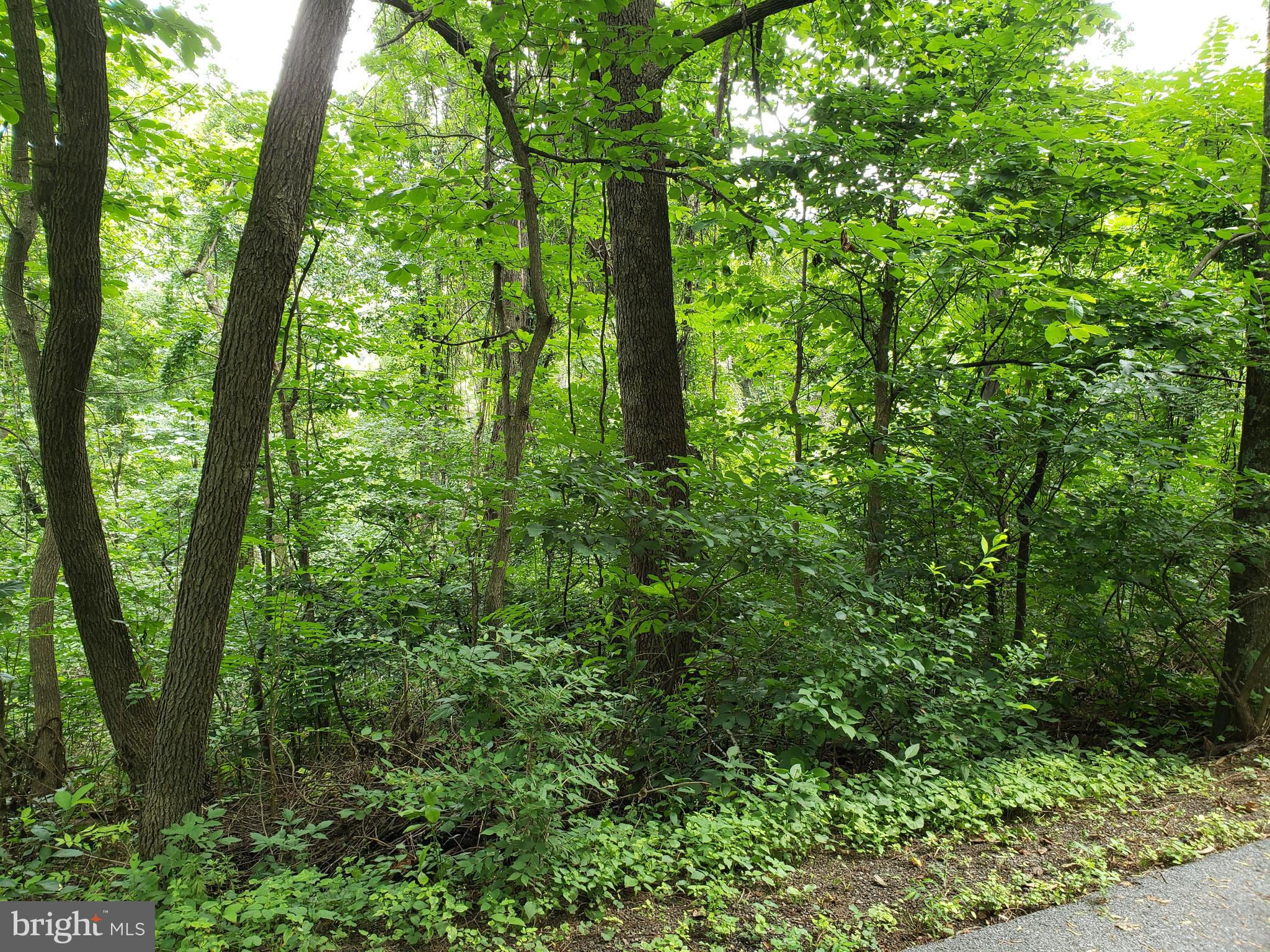 POINT O'WOODS - Land