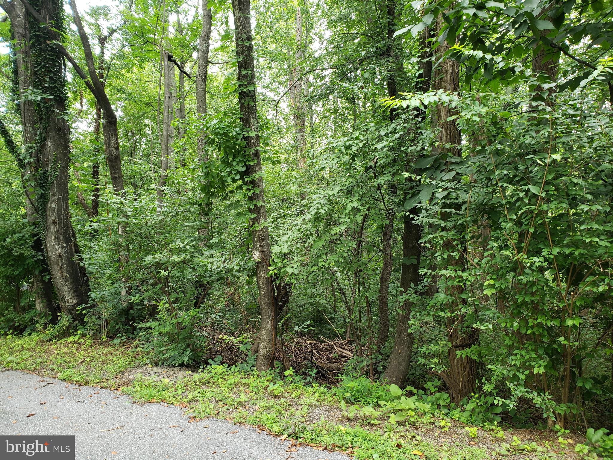 POINT O'WOODS - Land