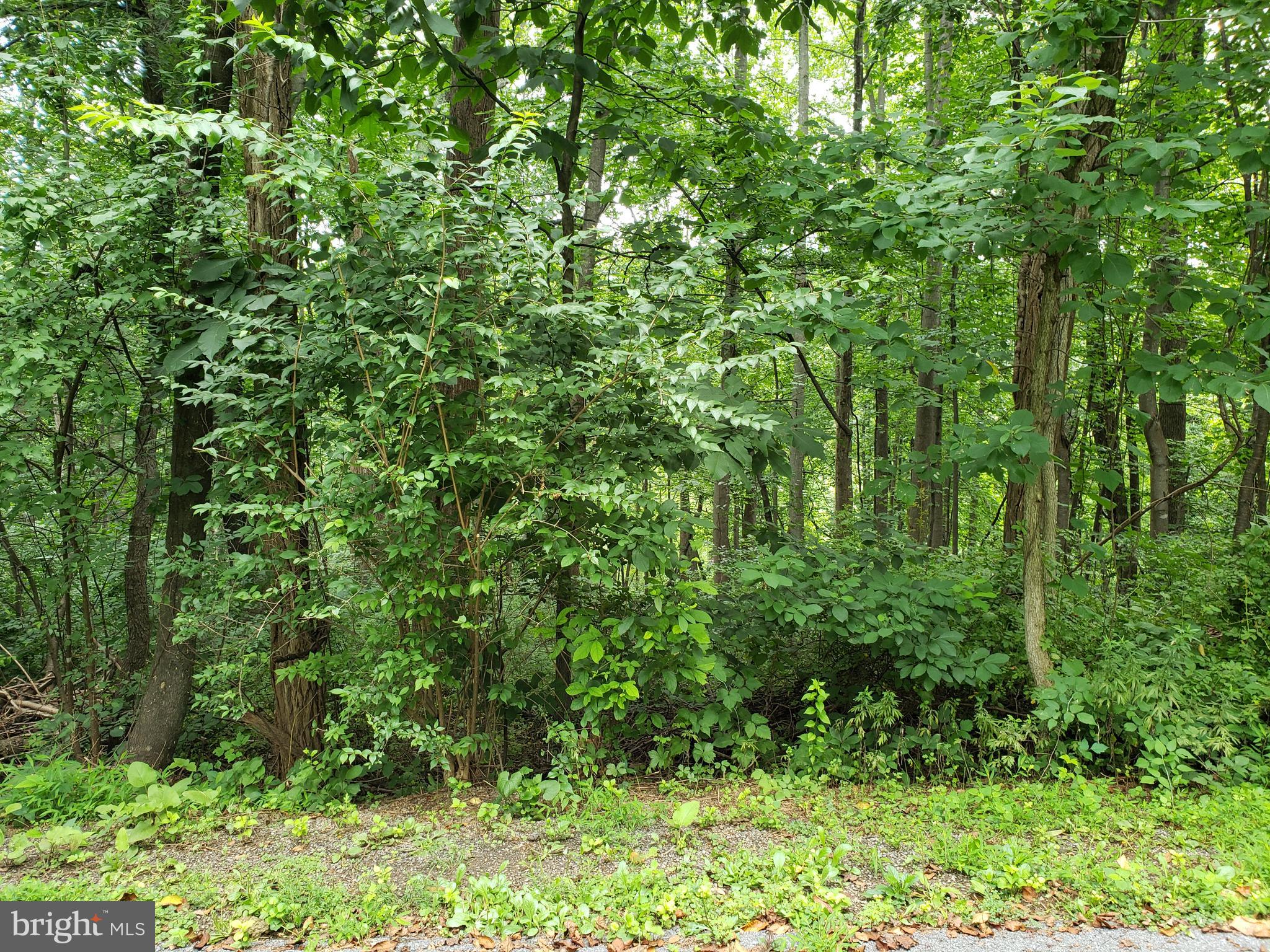 POINT O'WOODS - Land