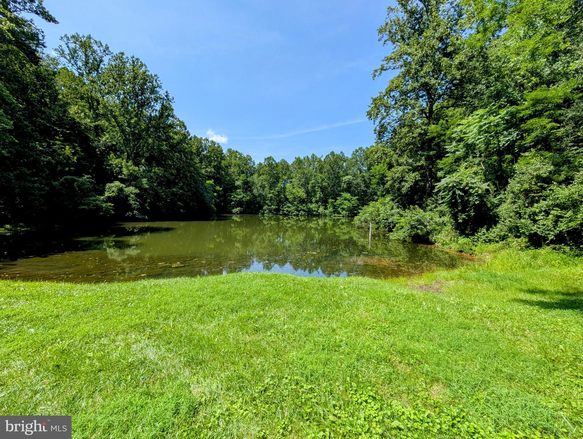 POINT O'WOODS - Land