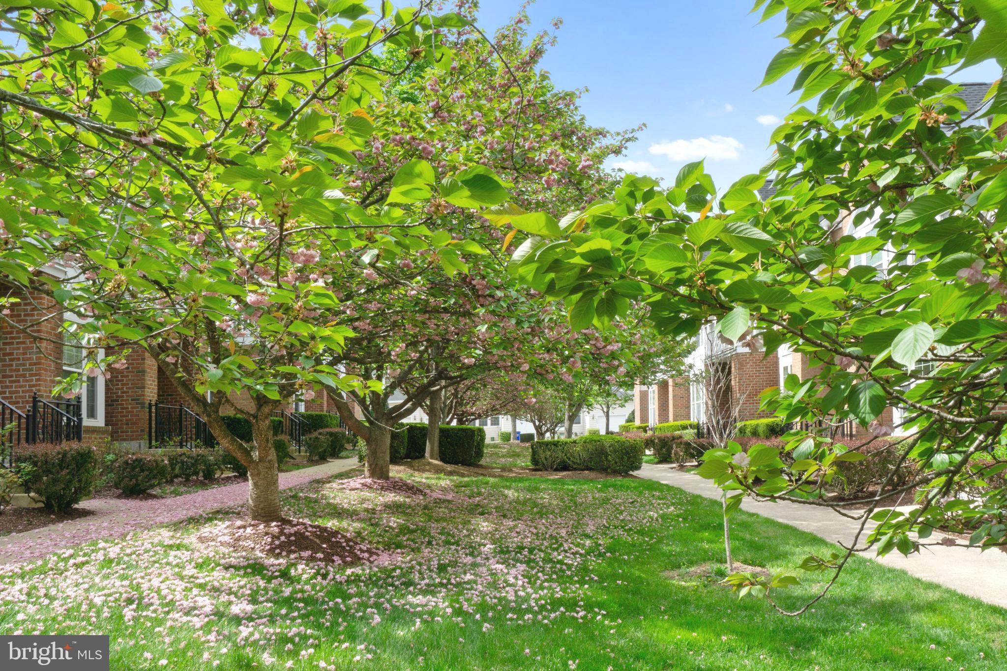 RIVER HILL - Residential Lease