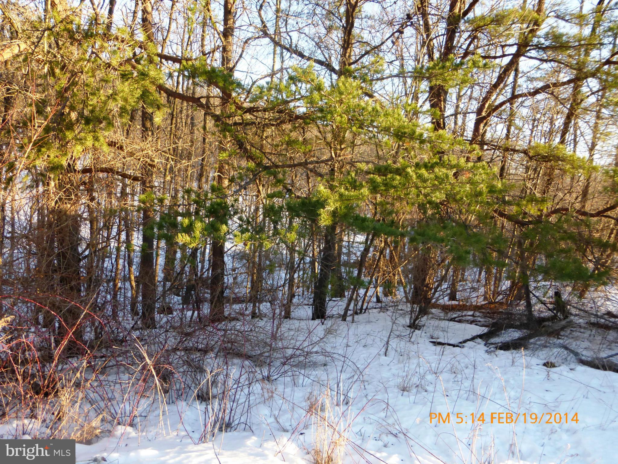 NONE AVAILABLE - Farm