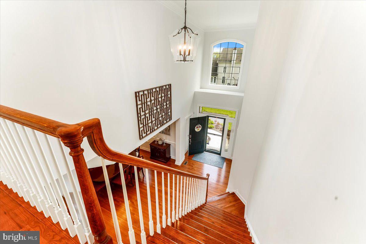 LISETER - Residential