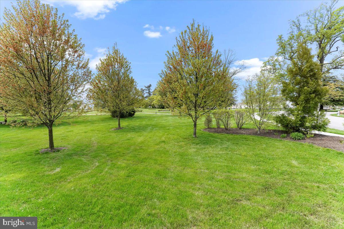 LISETER - Residential