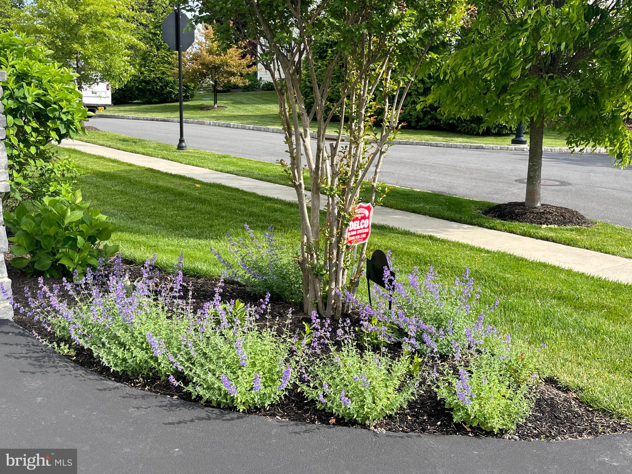 LISETER - Residential