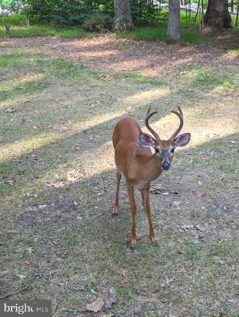 BLUE RIDGE ACRES - Residential