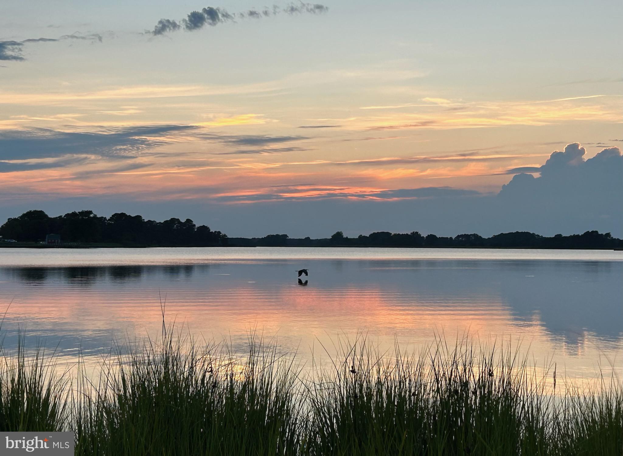 CARROLTON ESTATES - Residential