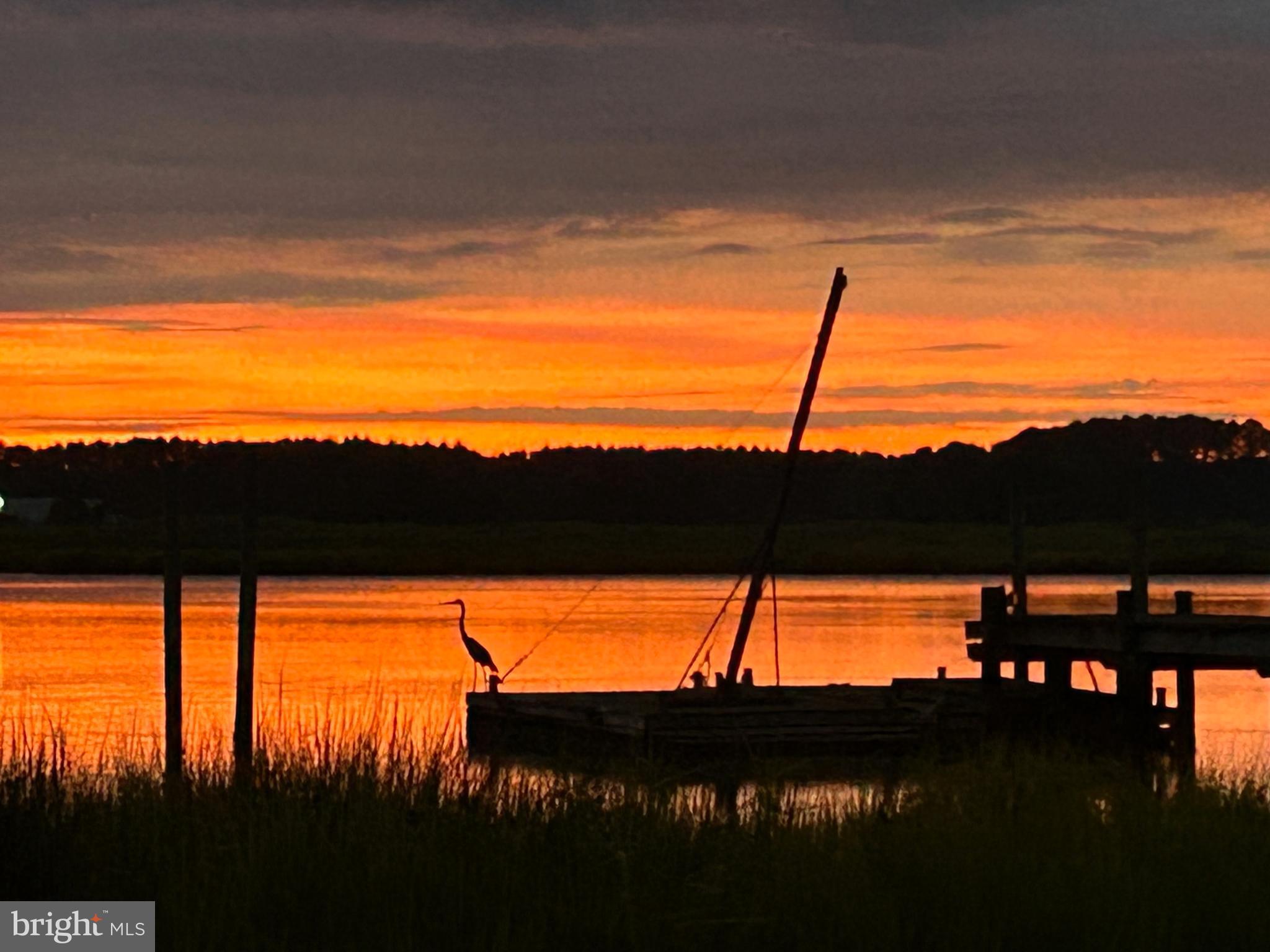 CARROLTON ESTATES - Residential