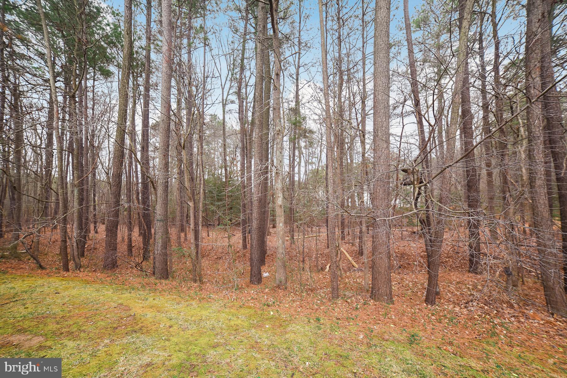 PICKETTS HARBOR - Residential