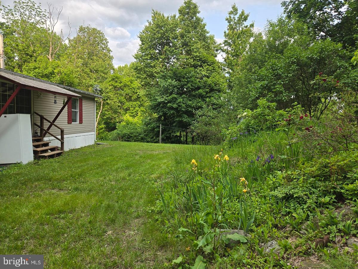 76 POWERLINE ROAD