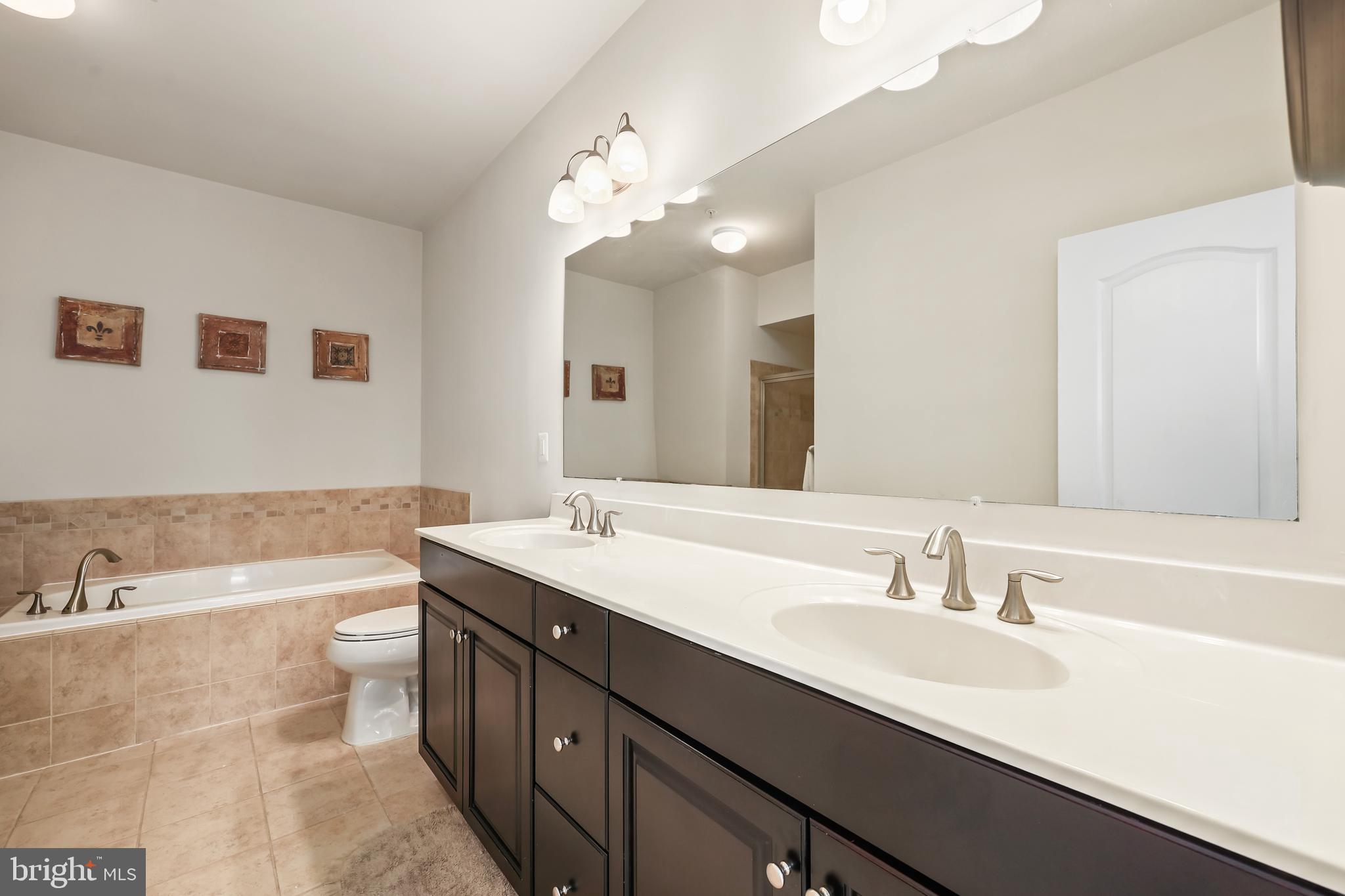 PRESERVE AT GOOSE CREEK - Residential