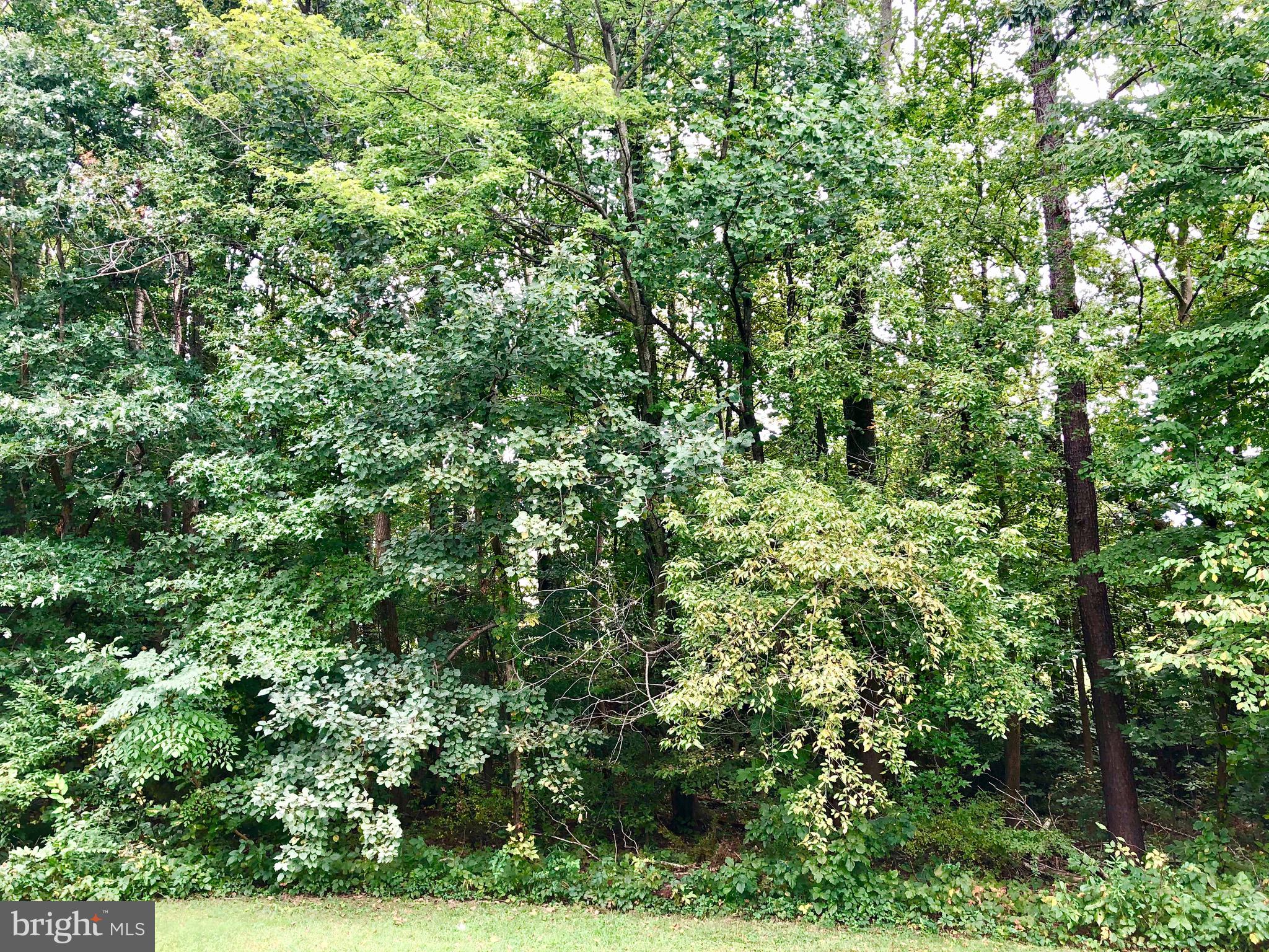 STAFFORDBOROUGH - Residential