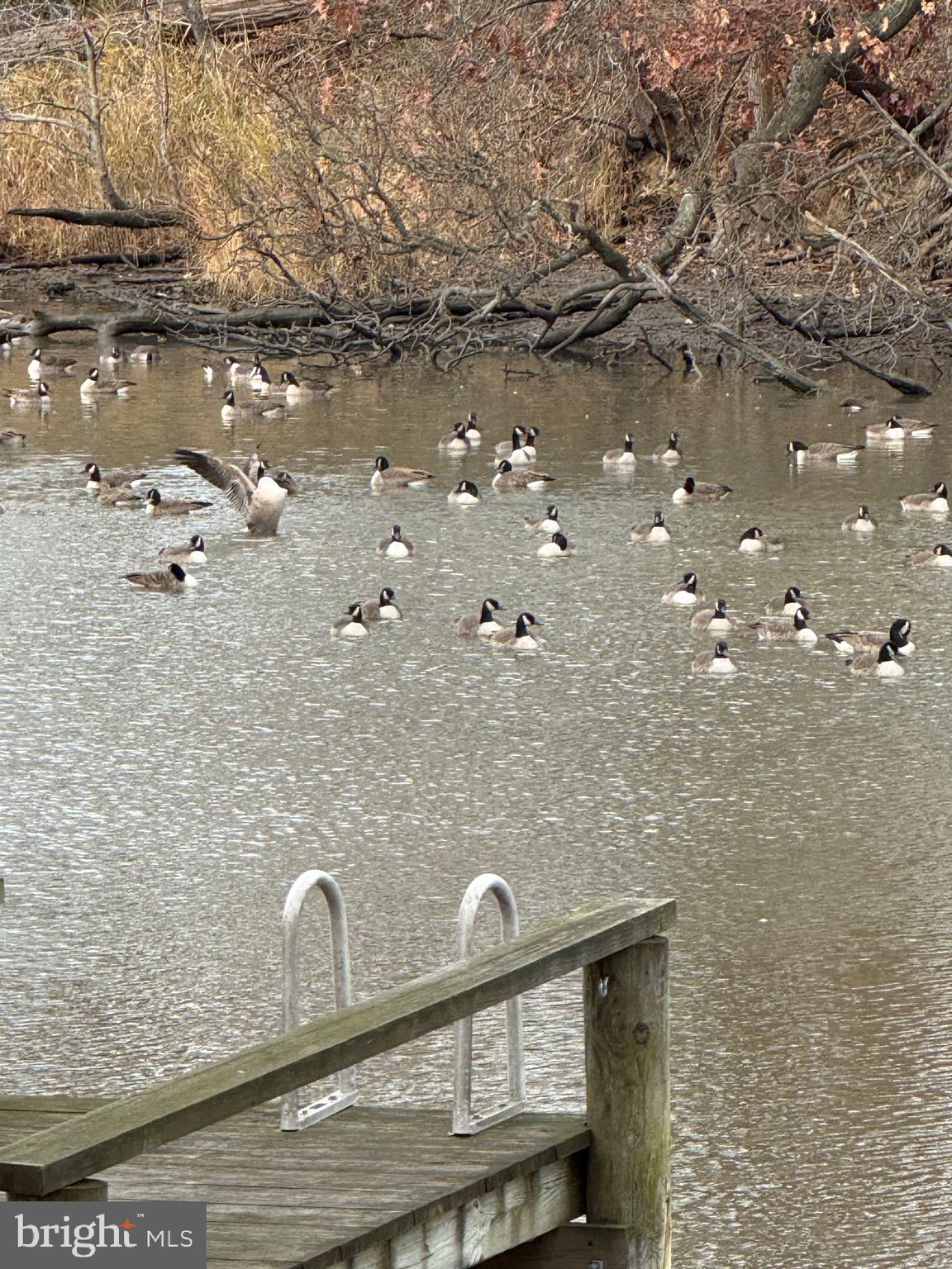 109 RECOVERY DRIVE E