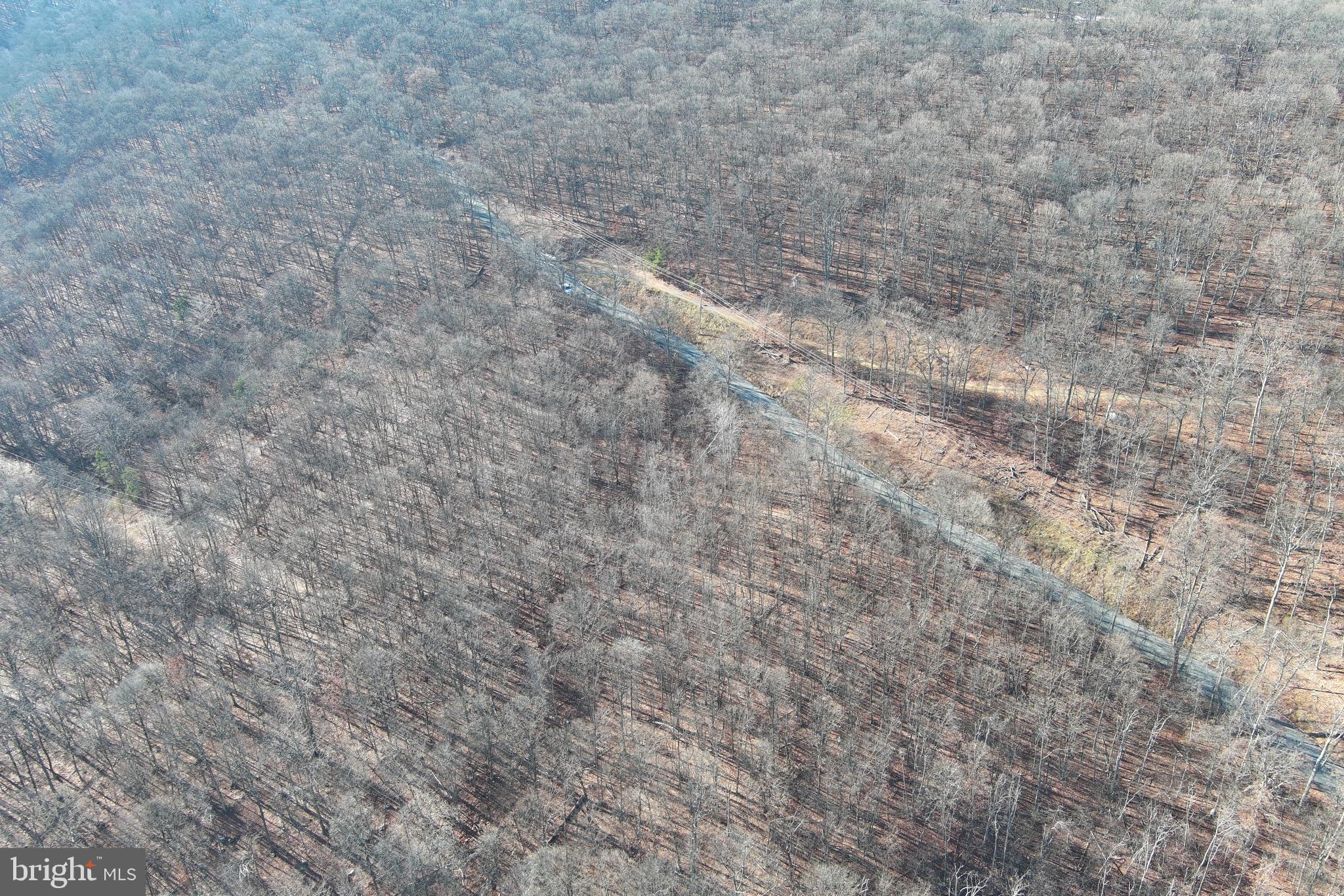 VALLEY HIGH TIMBER FARMS - Land