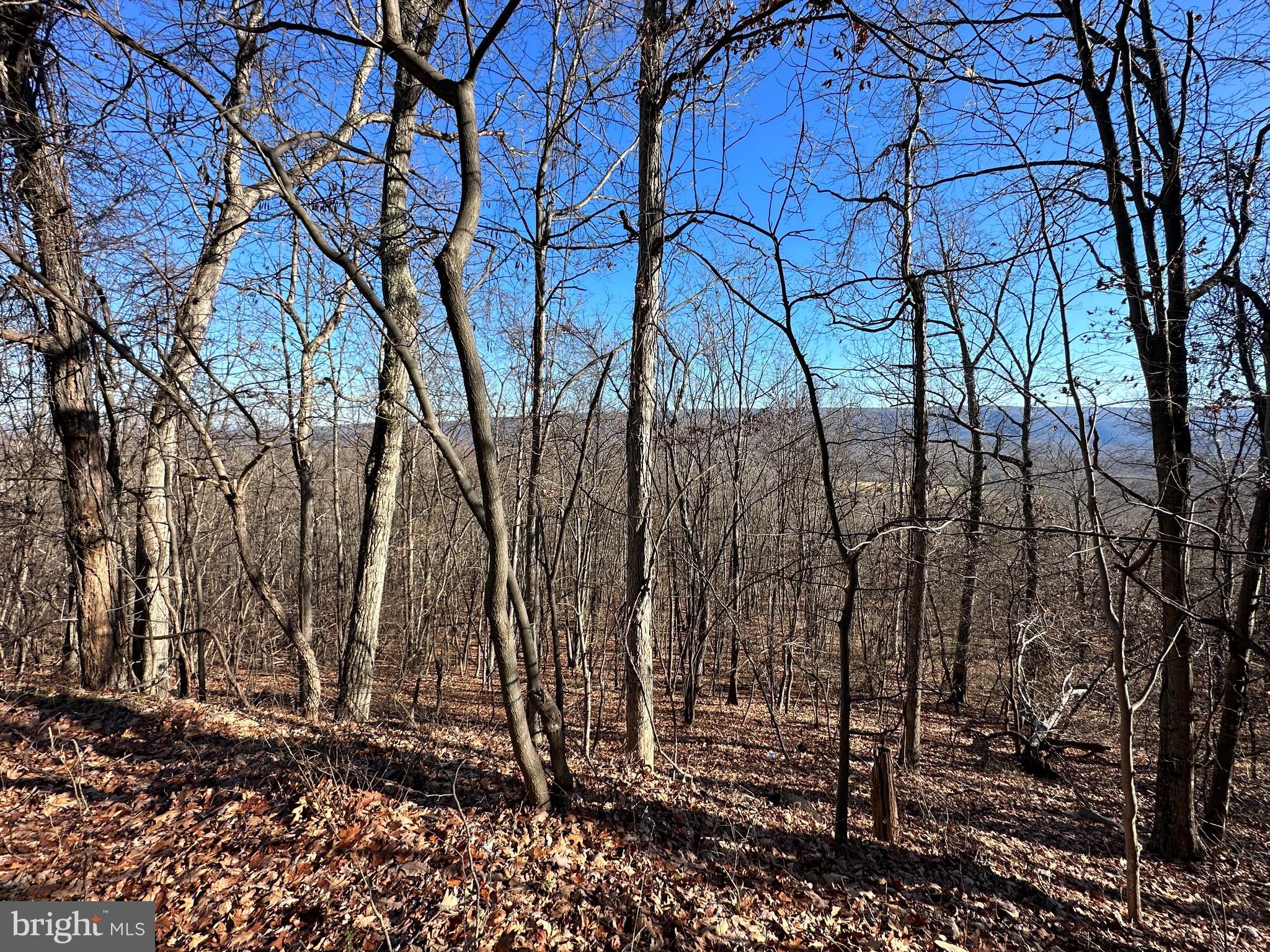 VALLEY HIGH TIMBER FARMS - Land