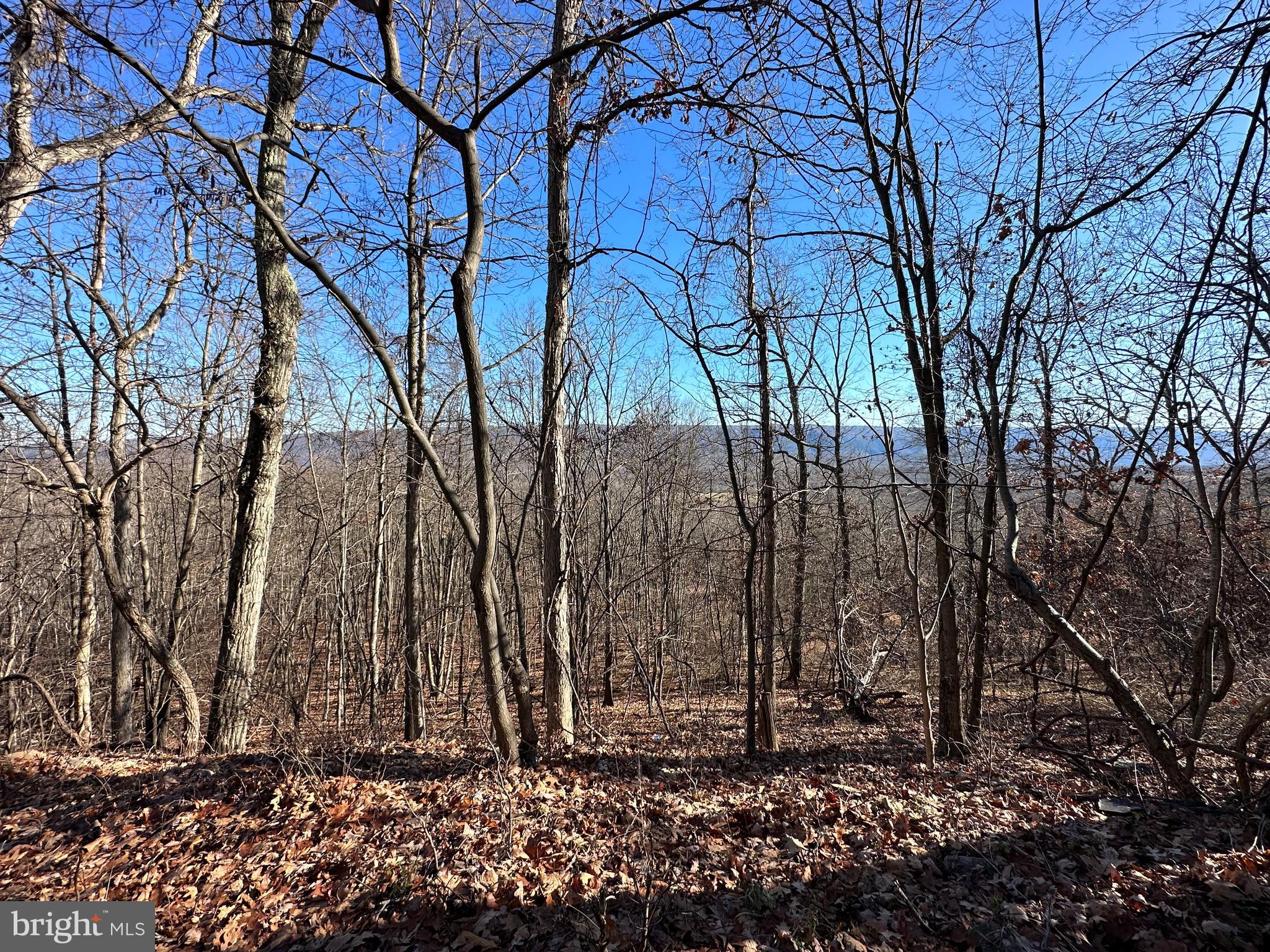 VALLEY HIGH TIMBER FARMS - Land