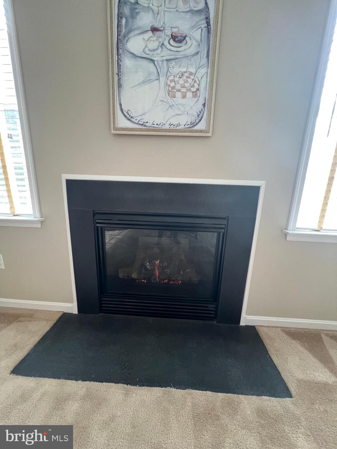 DIXIE MEADOWS - Residential