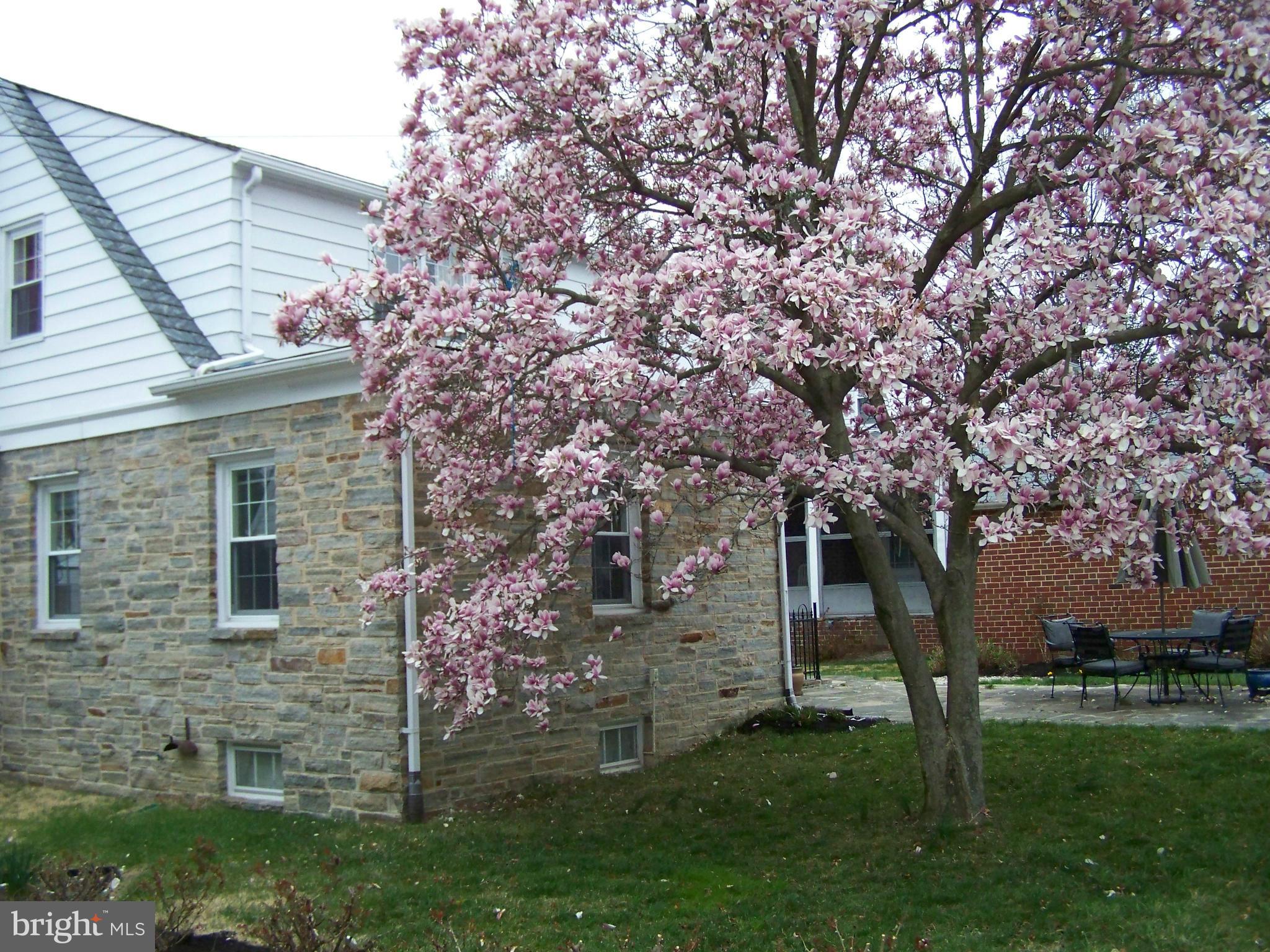 DOGWOOD - Residential