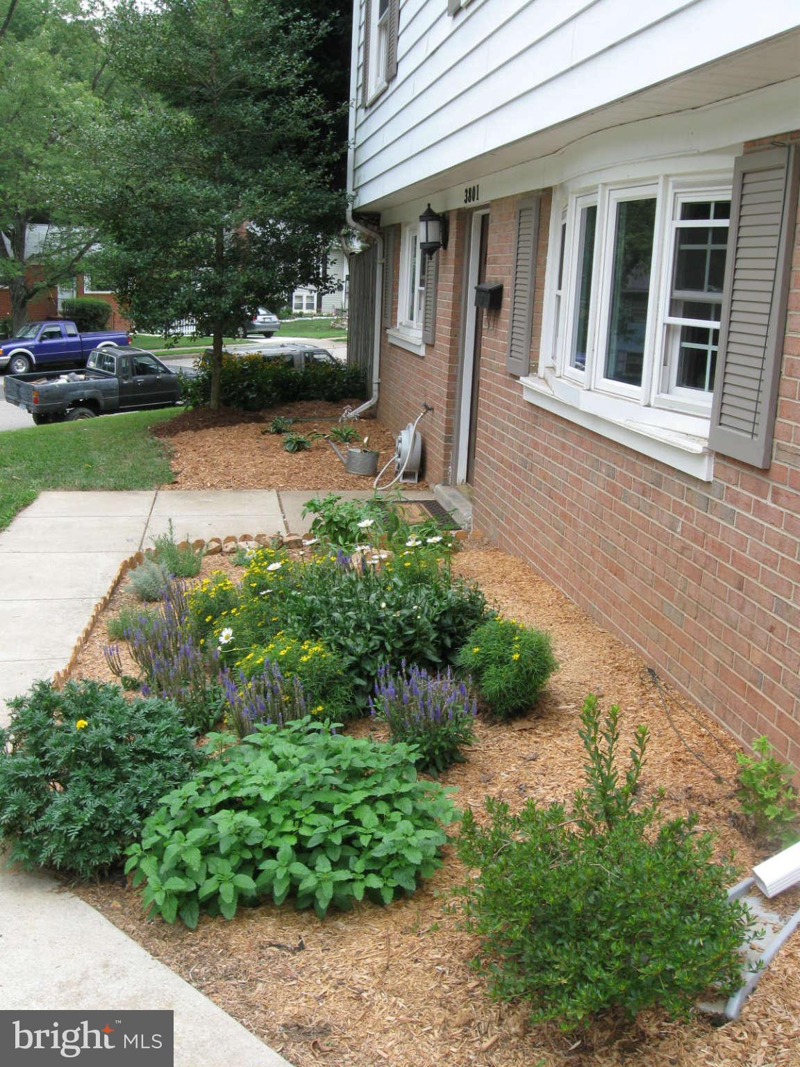 DALE CITY - Residential Lease