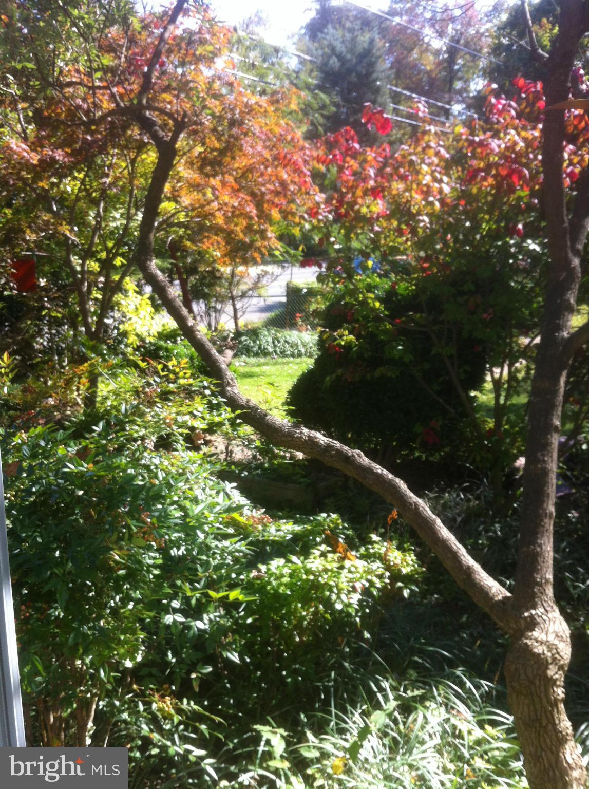 GREENBELT (CO-OP) - Residential