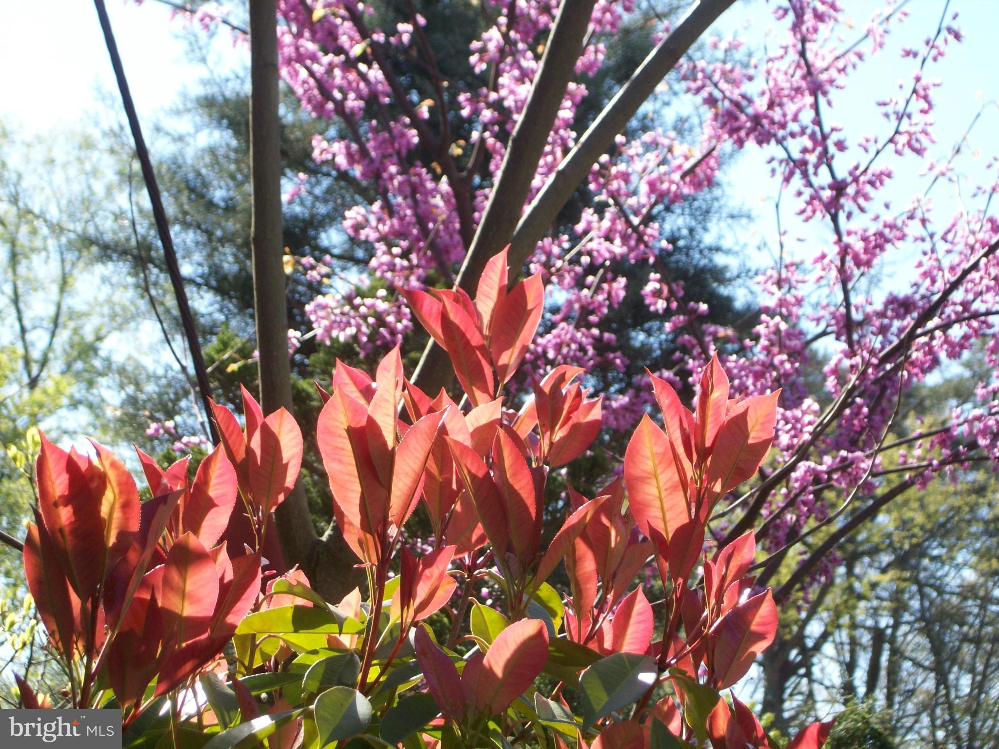 GREENBELT (CO-OP) - Residential