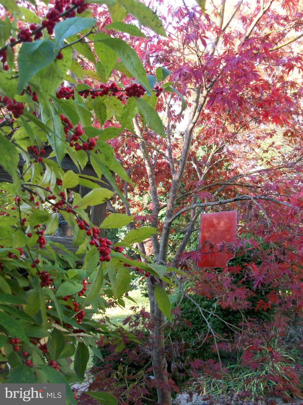 GREENBELT (CO-OP) - Residential