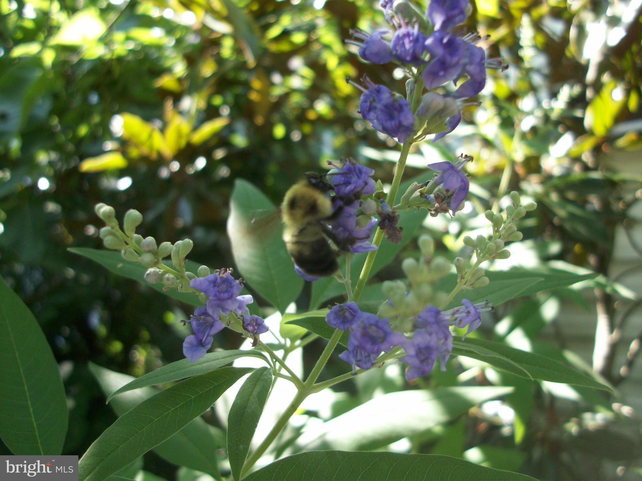 GREENBELT (CO-OP) - Residential