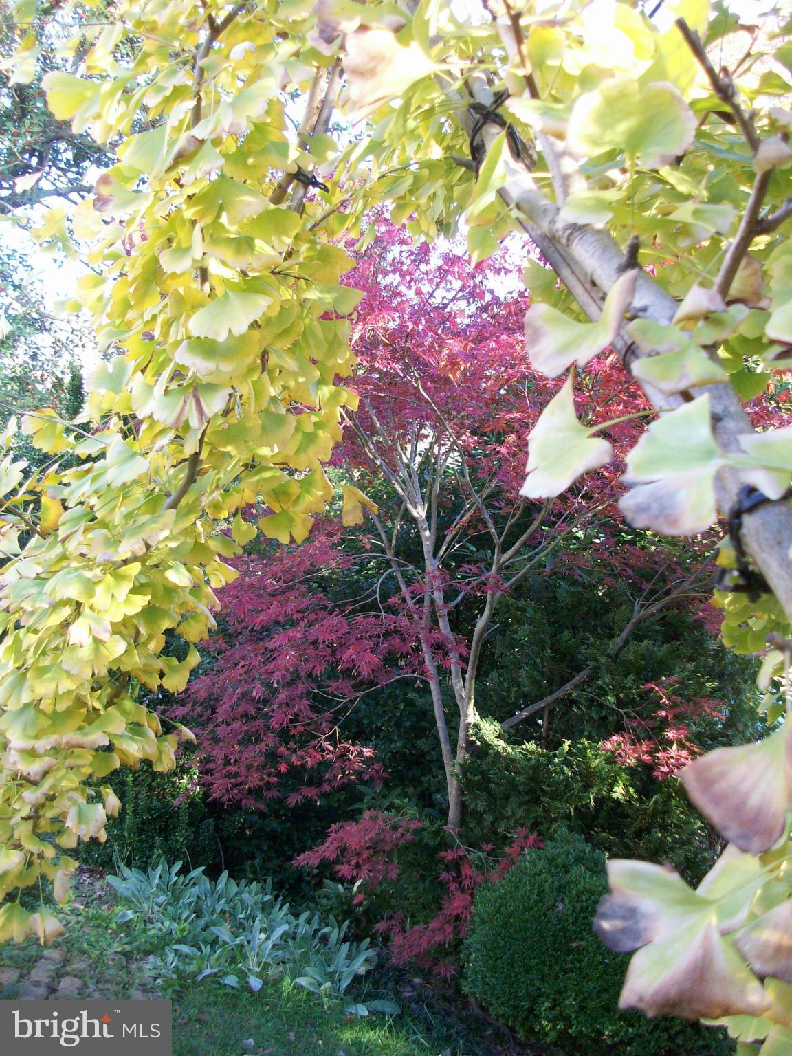 GREENBELT (CO-OP) - Residential