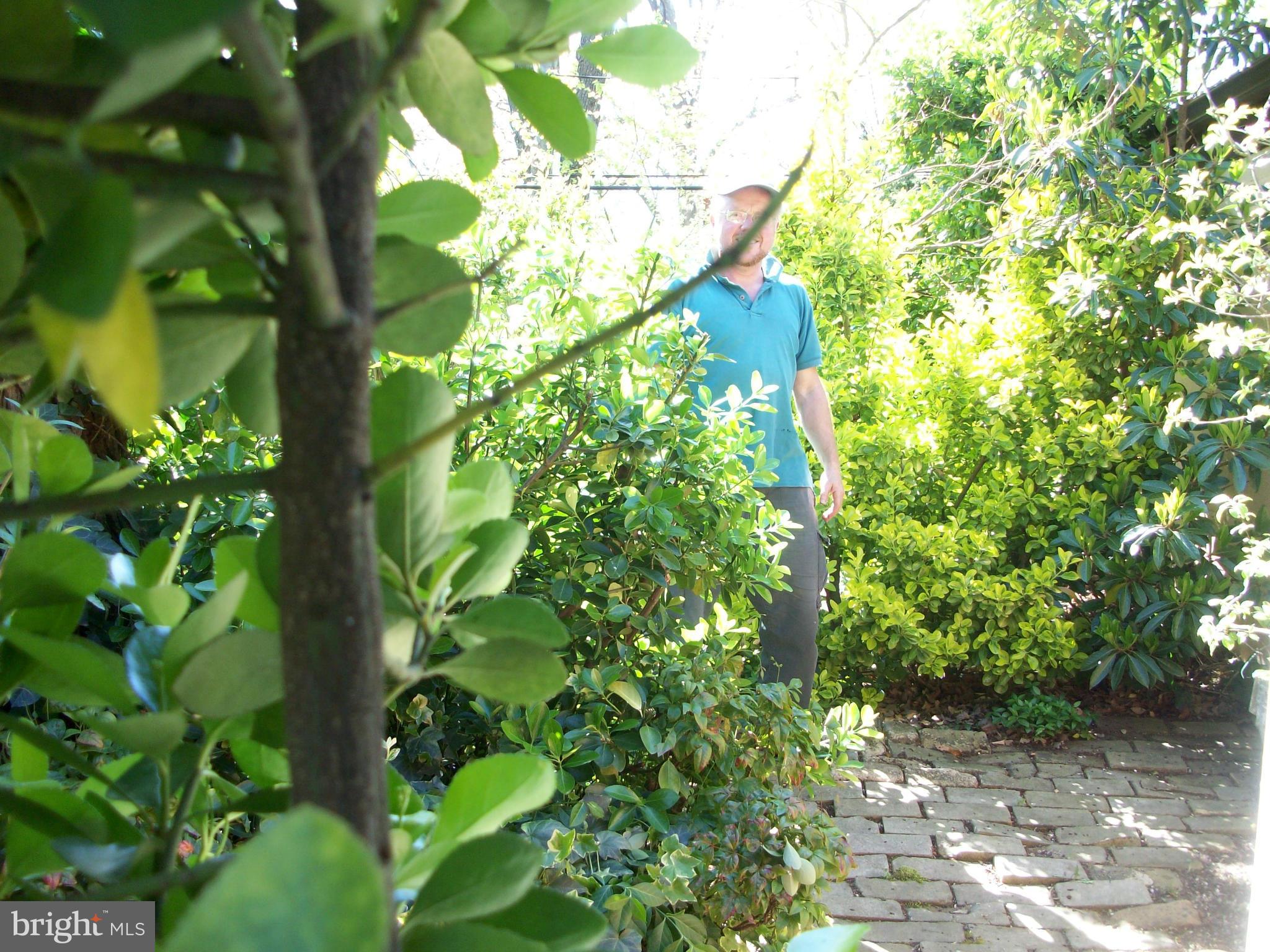 GREENBELT (CO-OP) - Residential