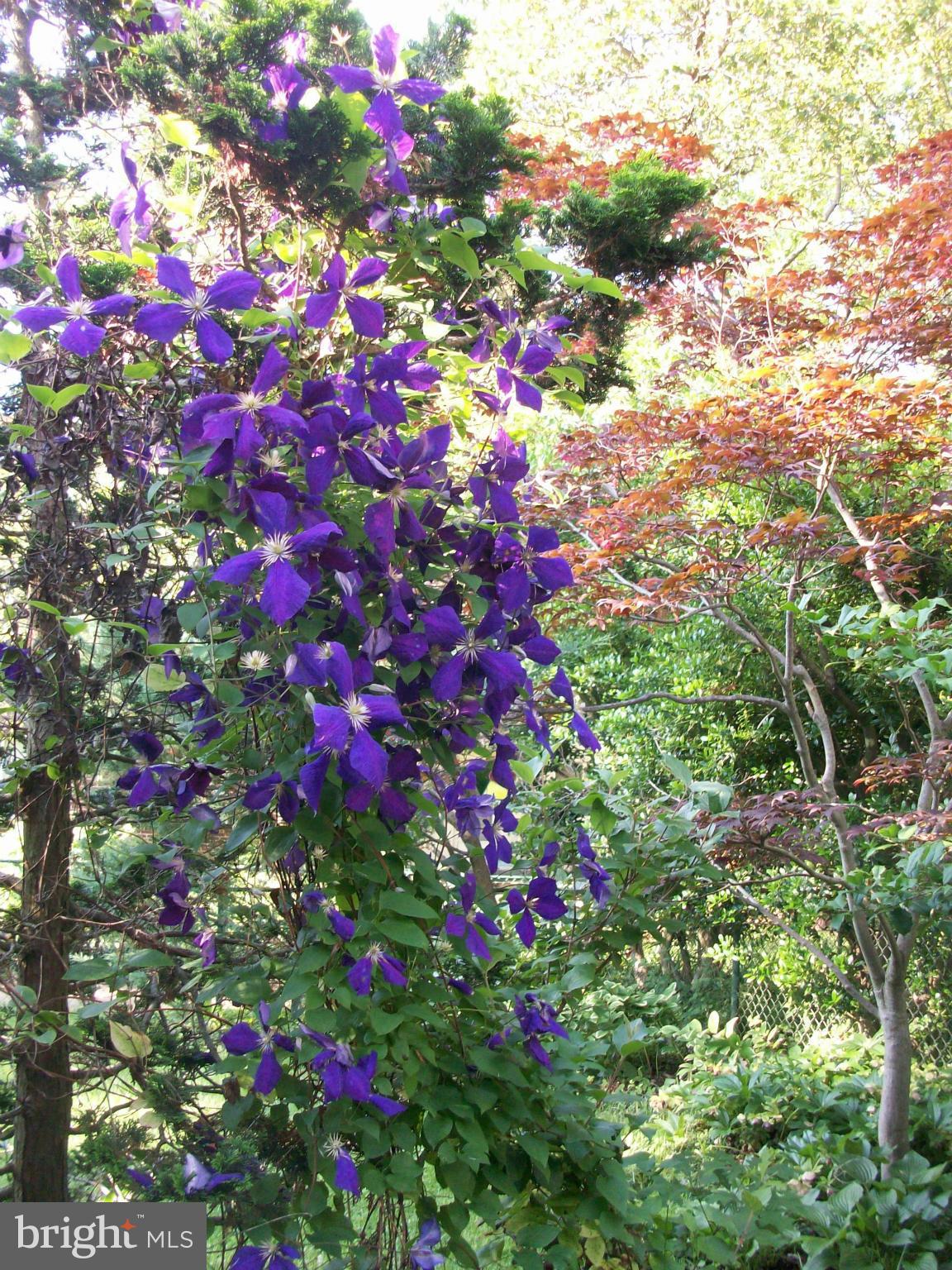 GREENBELT (CO-OP) - Residential