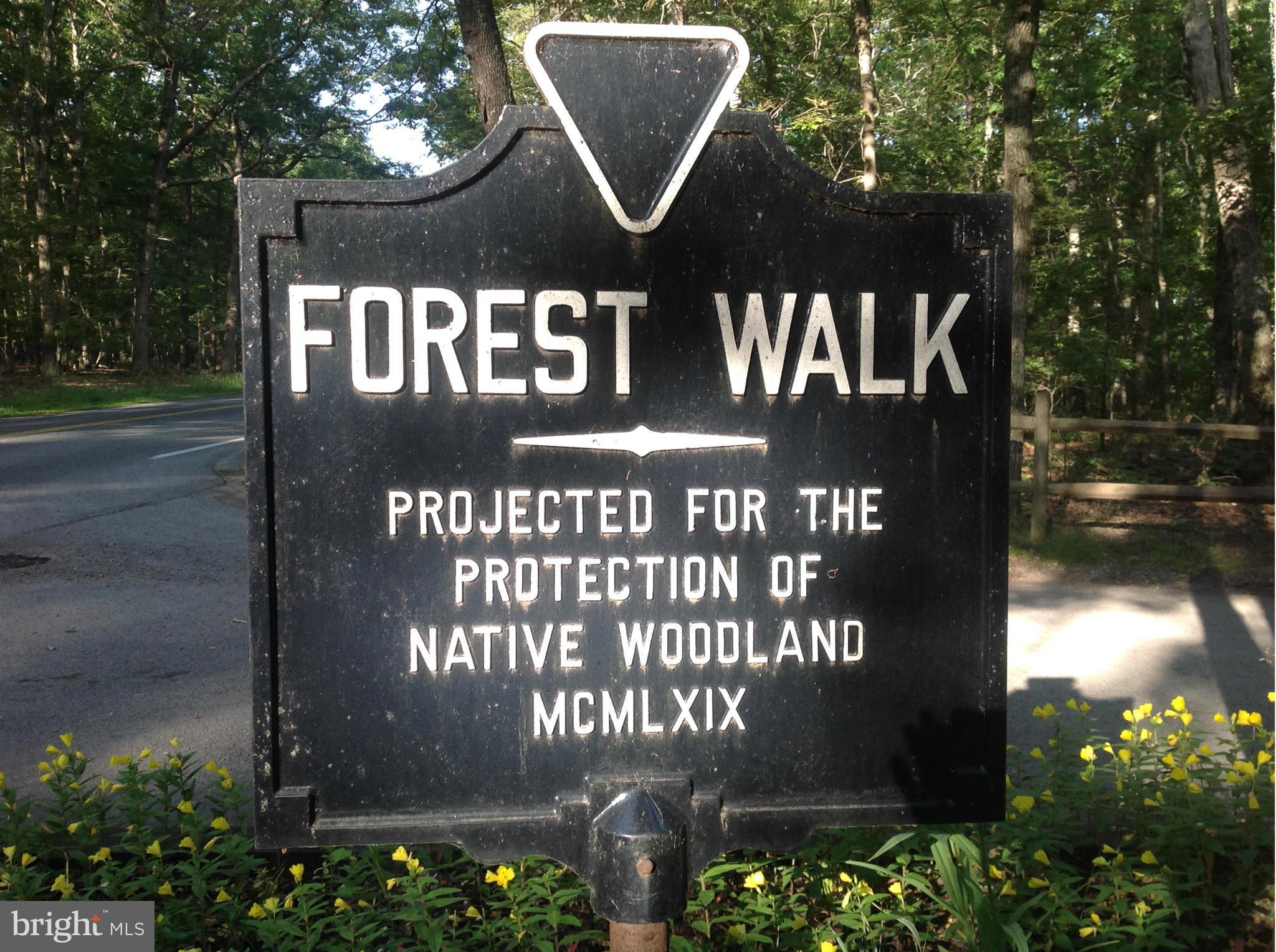 FOREST WALK - Residential