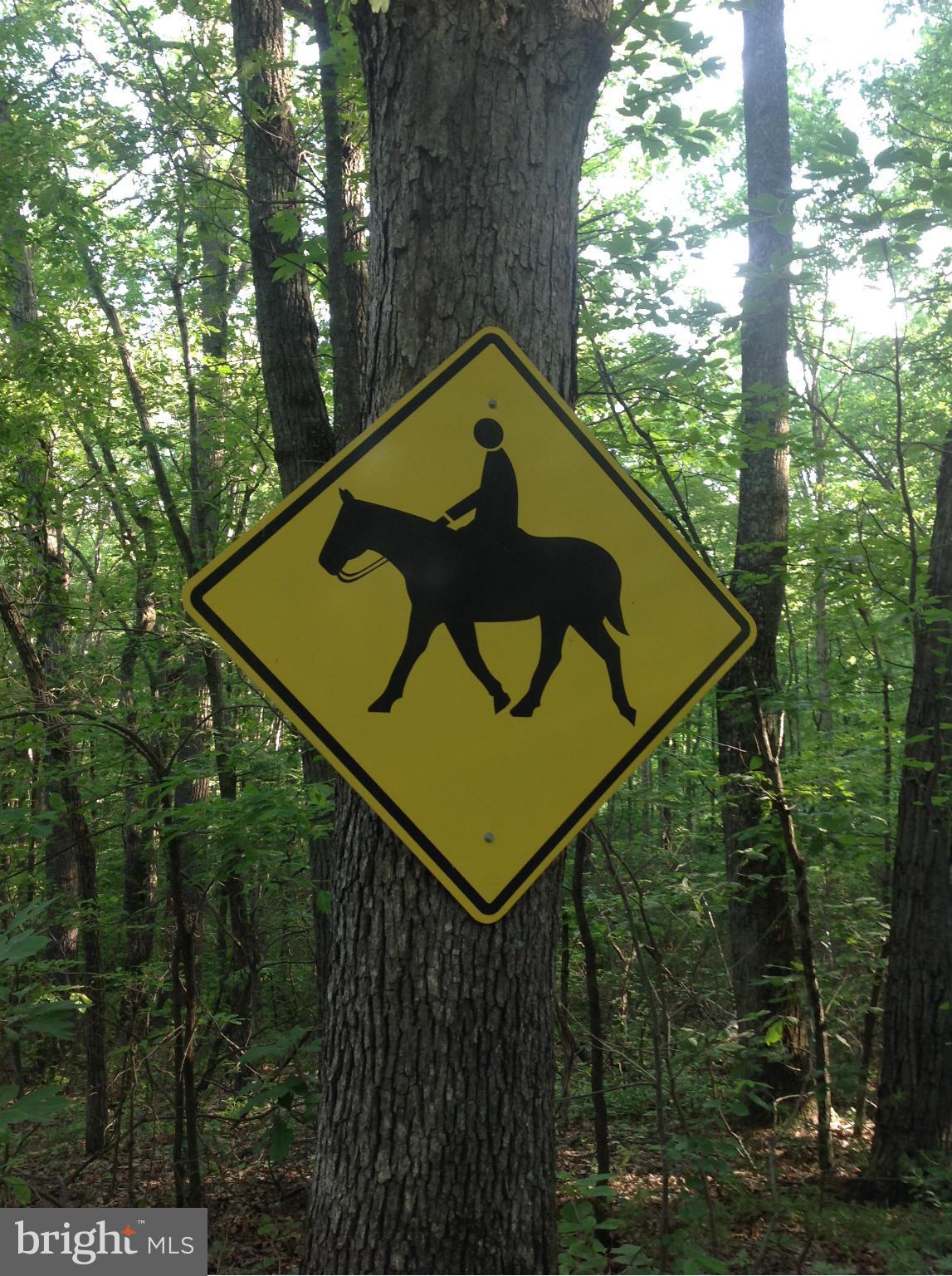 FOREST WALK - Residential